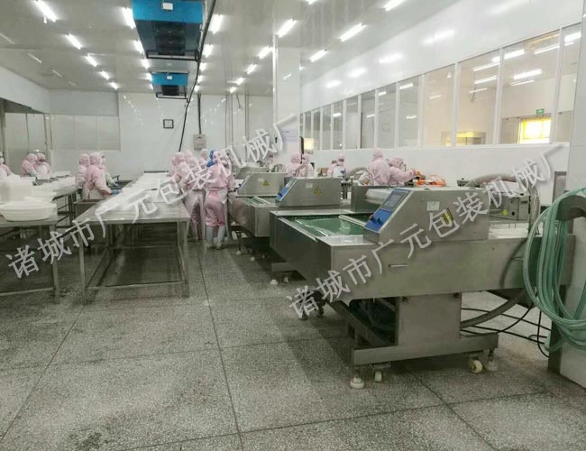 1000型全自動(dòng)真空包裝機(jī)