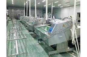 真空包裝機(jī)按基本用途可以分為哪幾類(lèi)？