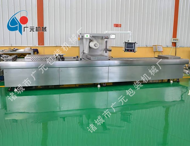 拉伸膜全自動(dòng)真空包裝機(jī)（DZDL-520型）