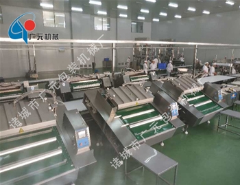 滾動(dòng)式真空包裝機(jī)（DZD-1100觸摸屏）